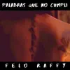 Felo Raffy - Palabras Que No Cumplí - Single