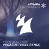 Protoculture - Pegasus (Vigel Remix) - Single